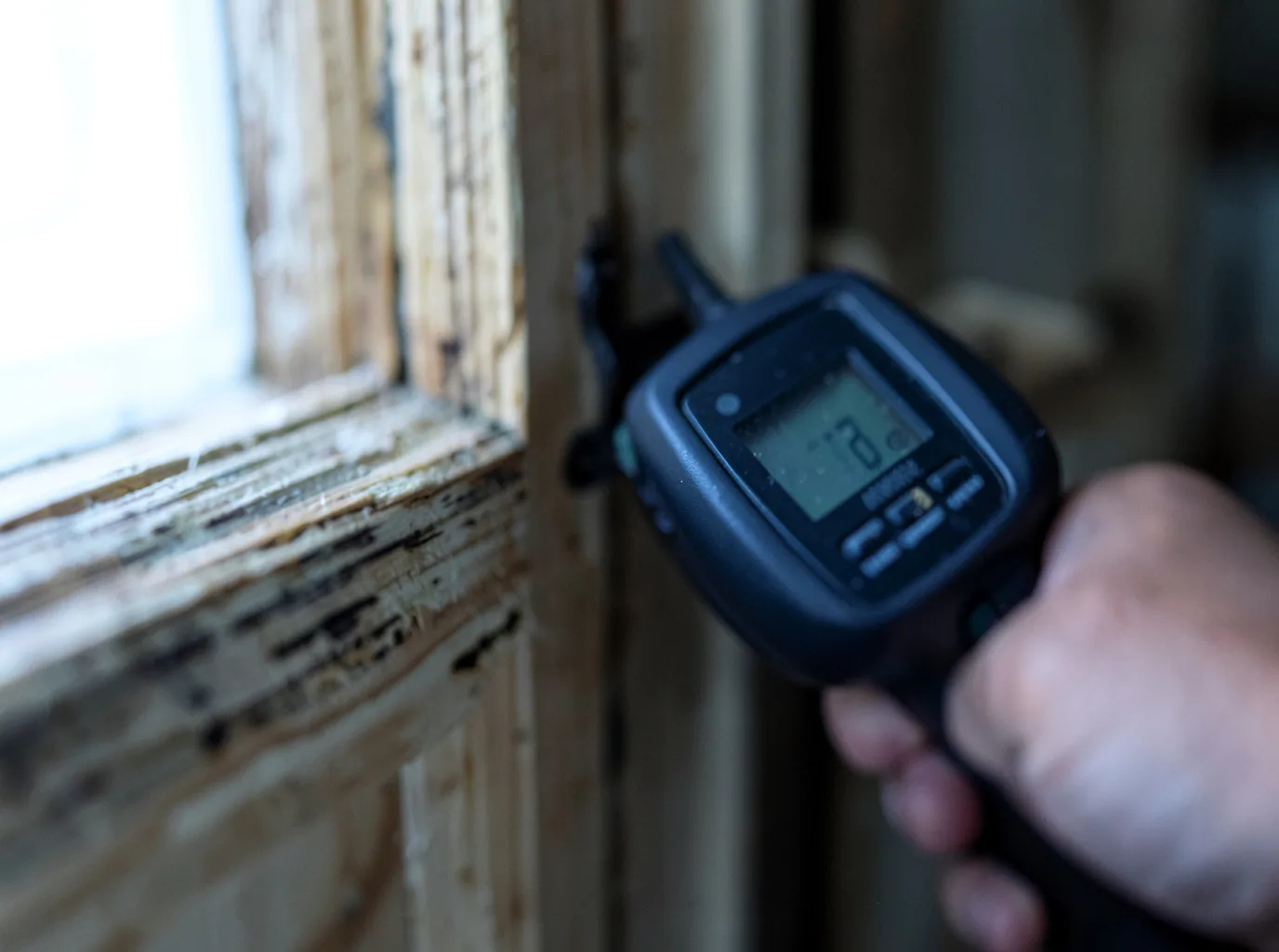 Commercial Water Damage Restoration in Eugene, OR